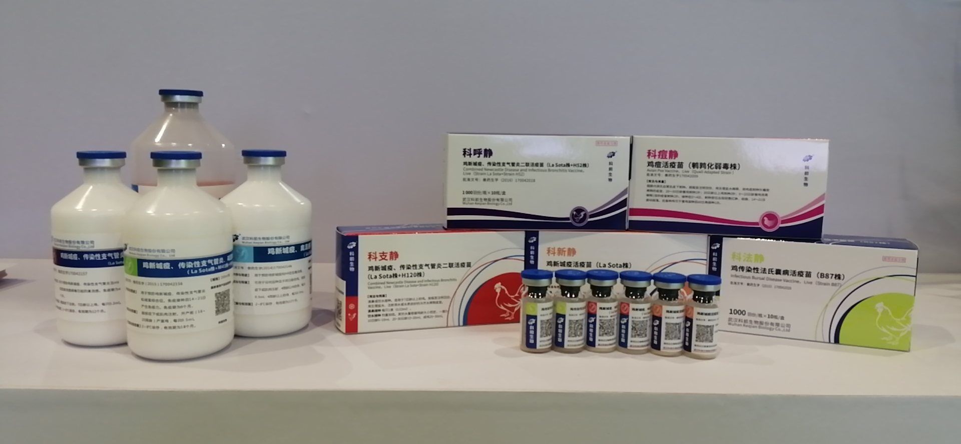 圖片4.png 圖片4.png