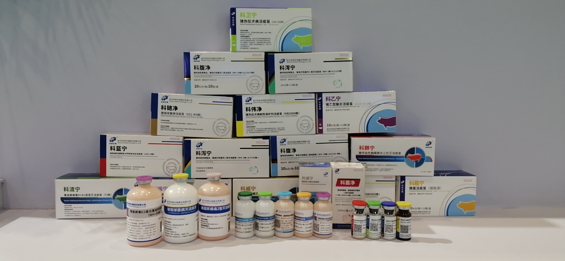 圖片3.png 圖片3.png